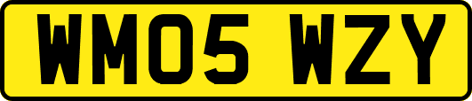 WM05WZY