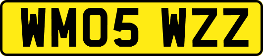 WM05WZZ