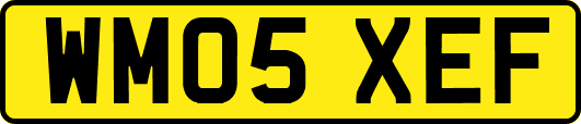 WM05XEF