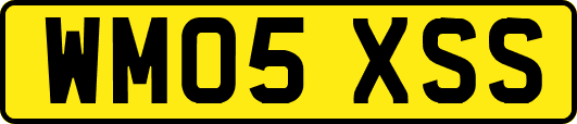 WM05XSS