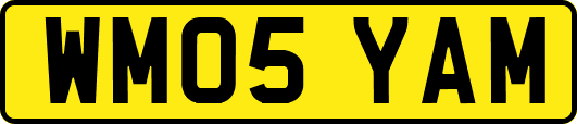 WM05YAM