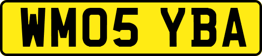 WM05YBA