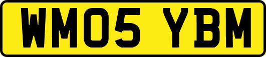 WM05YBM