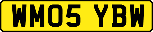 WM05YBW