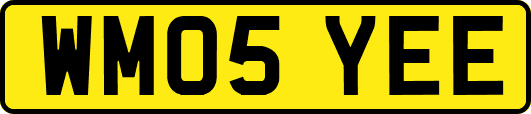 WM05YEE