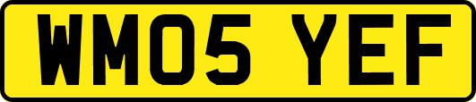 WM05YEF