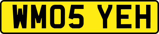 WM05YEH