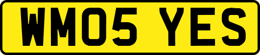 WM05YES