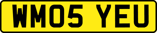 WM05YEU