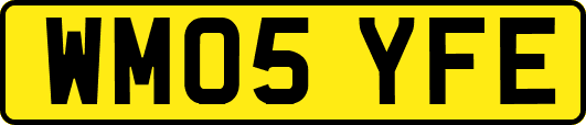 WM05YFE