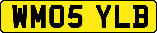 WM05YLB