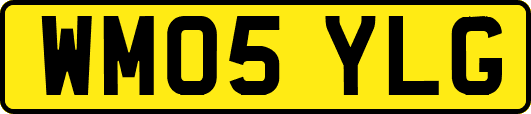 WM05YLG