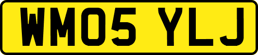 WM05YLJ