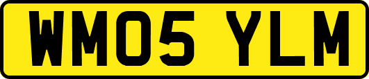 WM05YLM