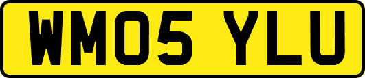 WM05YLU