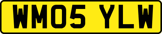 WM05YLW