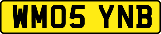 WM05YNB