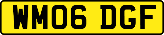 WM06DGF