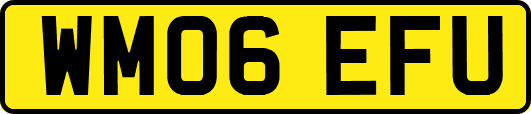 WM06EFU