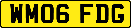 WM06FDG