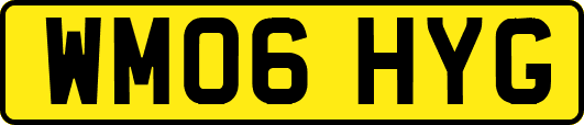 WM06HYG