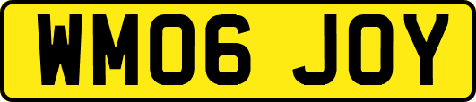 WM06JOY