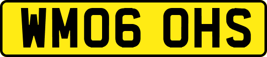 WM06OHS