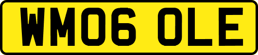 WM06OLE