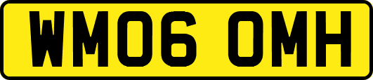 WM06OMH