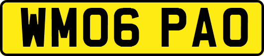 WM06PAO