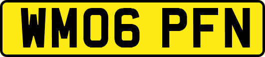 WM06PFN