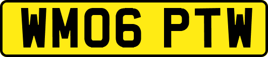 WM06PTW