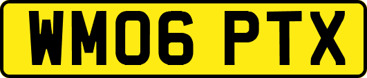 WM06PTX