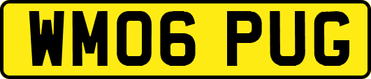 WM06PUG