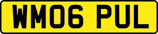 WM06PUL