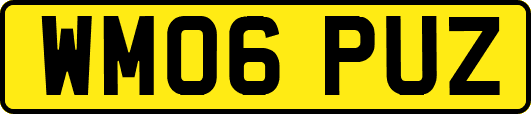 WM06PUZ