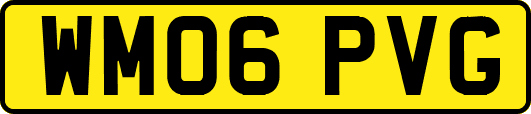 WM06PVG