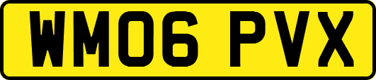 WM06PVX