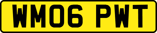 WM06PWT