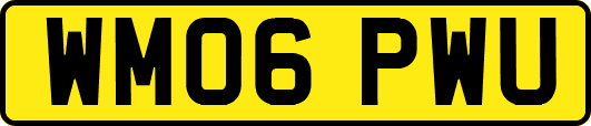 WM06PWU