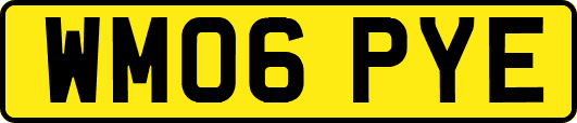 WM06PYE