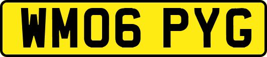 WM06PYG