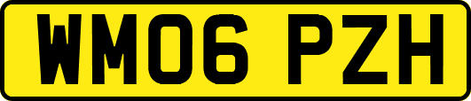 WM06PZH