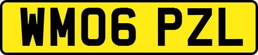 WM06PZL