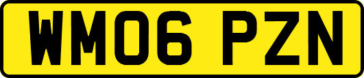 WM06PZN