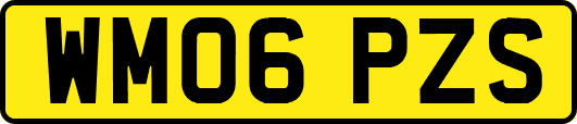 WM06PZS