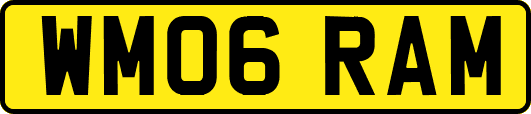 WM06RAM