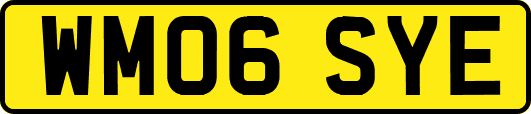 WM06SYE