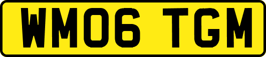 WM06TGM