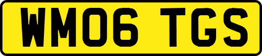 WM06TGS